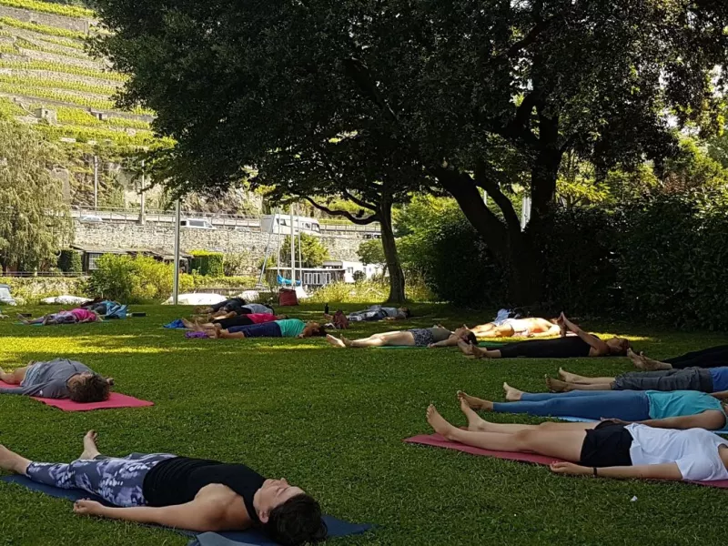 Relaxation finale allongés sur l'herbe, à l'ombre des arbres.